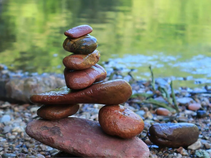 Innere Ruhe und starke Abwehr: Wie Reishi Vitalpilz Extrakt Körper und Geist in Balance bringt