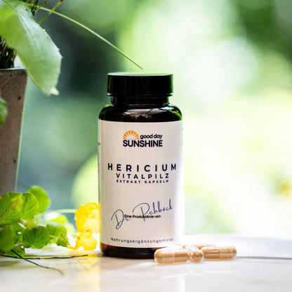 Hericium Vitalpilz Extrakt – für Fokus, starke Nerven & ruhigen Magen
