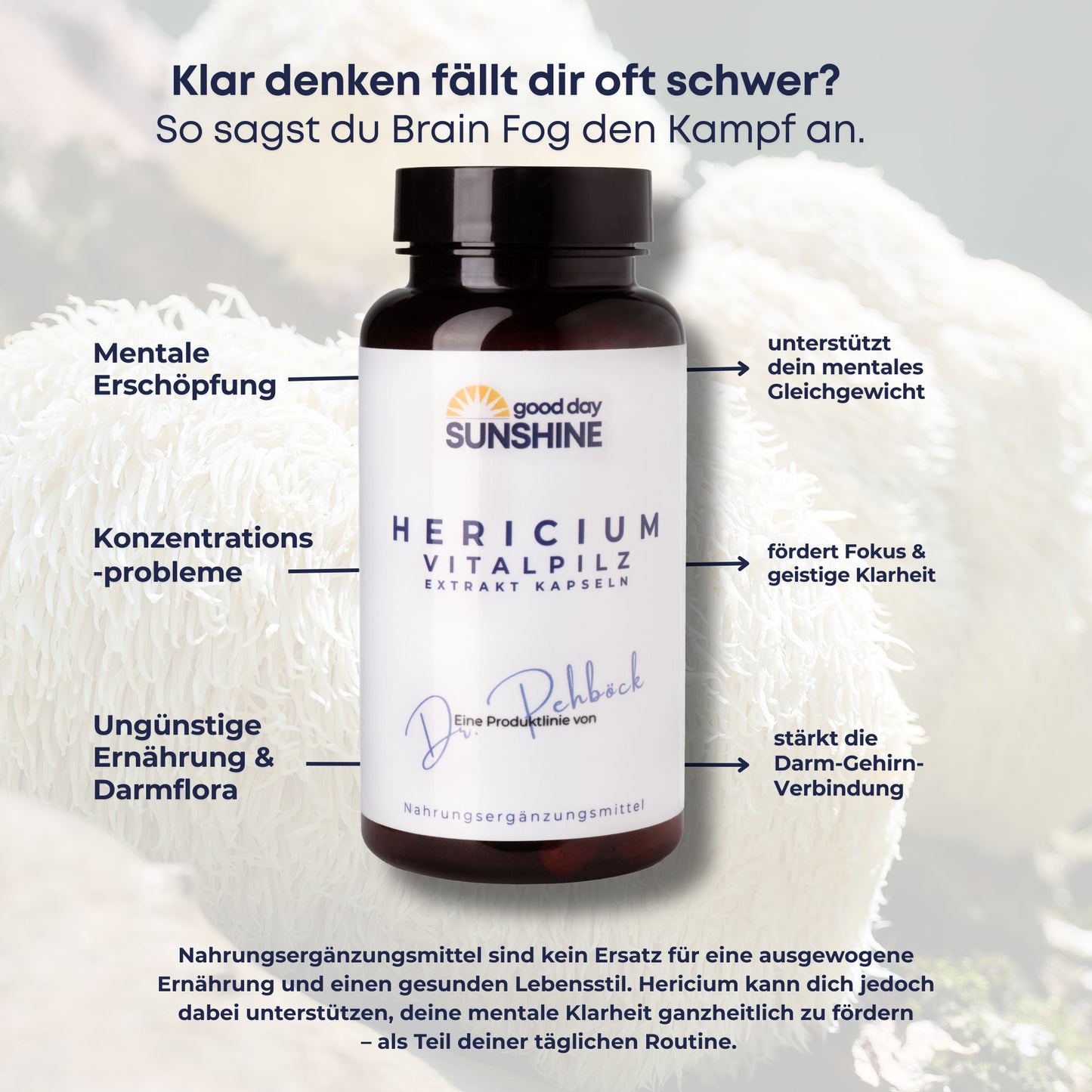 Hericium Vitalpilz Extrakt – für Fokus, starke Nerven & ruhigen Magen